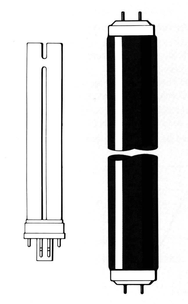 lblb.jpg (32056 bytes)