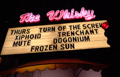 whisky.jpg (20946 bytes)