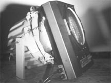 wmari1.jpg (10867 bytes)